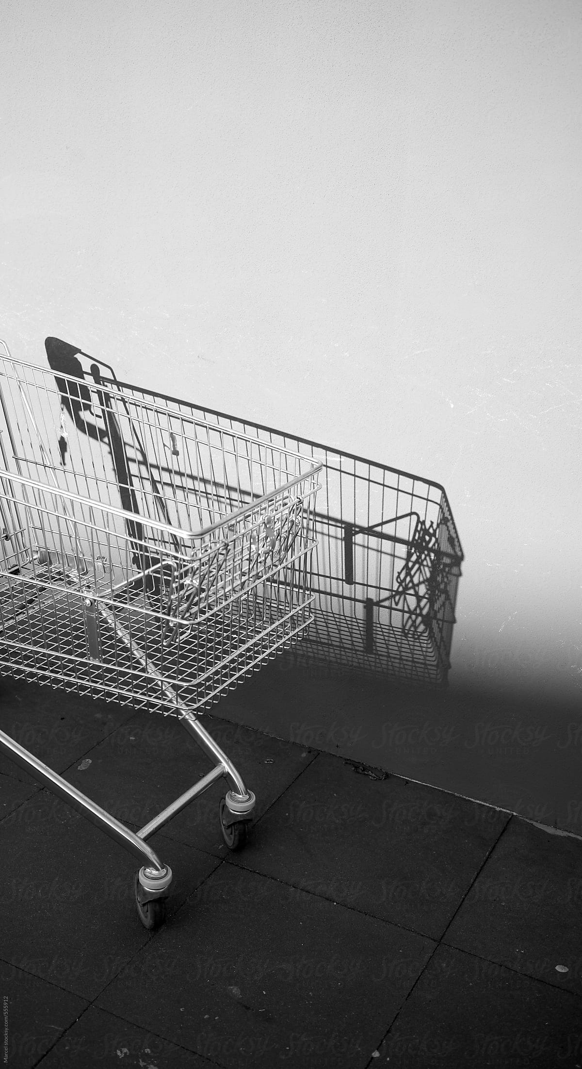 Empty shopping cart and its shadow
