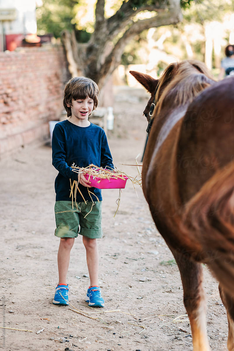 Boy with adhd feeding his therapy horse. Equine-assisted psychotherapy