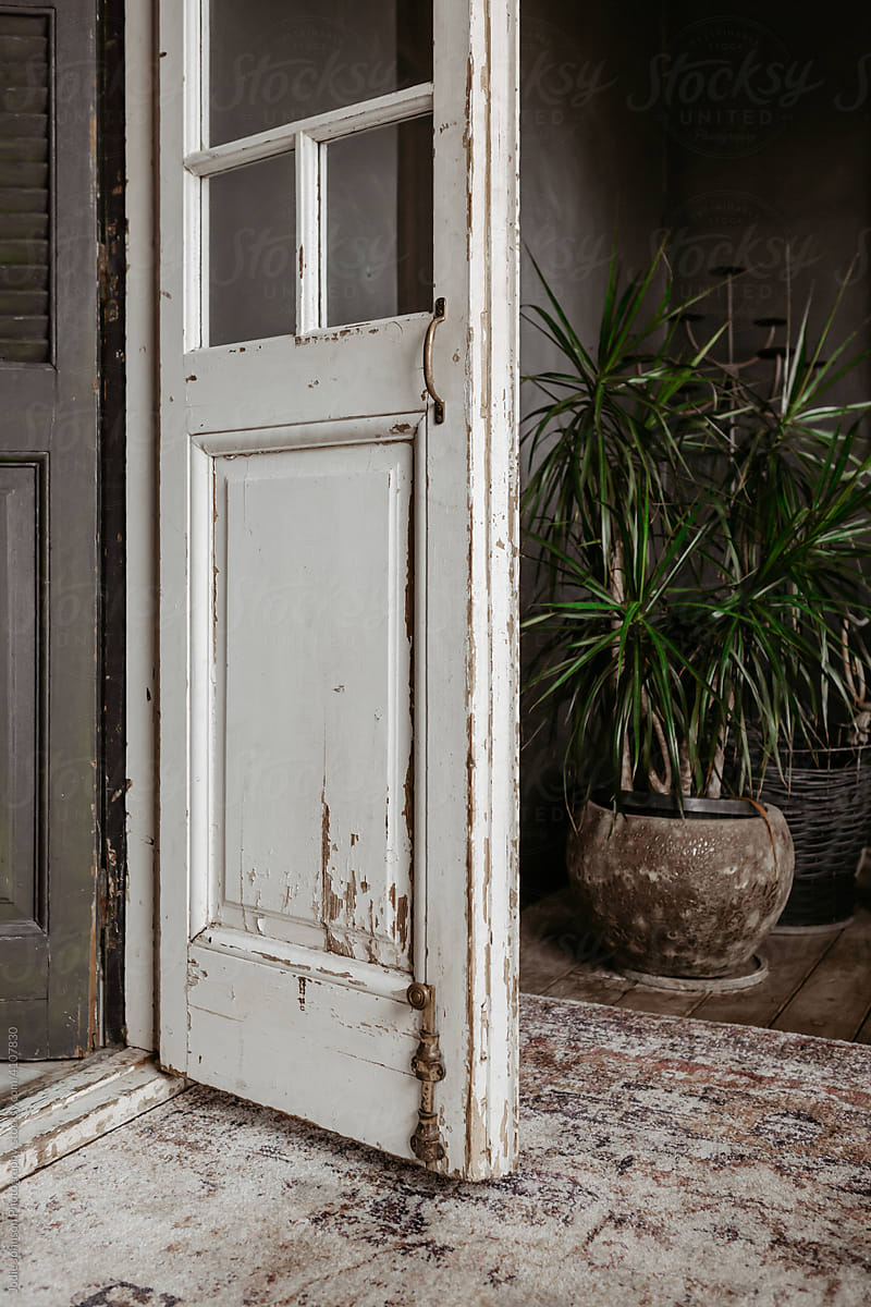 Rustic wooden french door