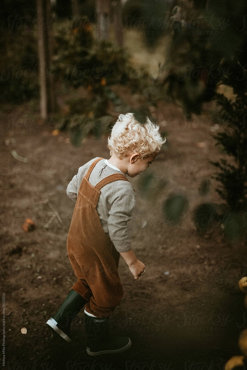 Blond kid in the garden running after a chicken