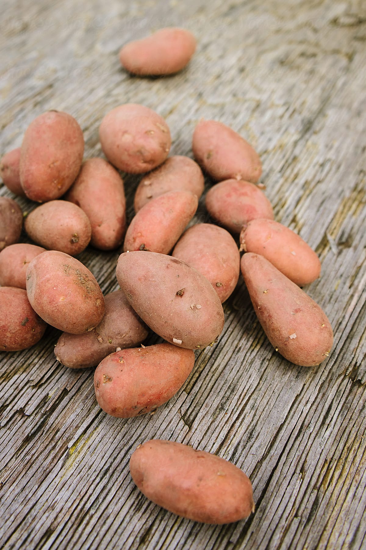 organic pink potatoes