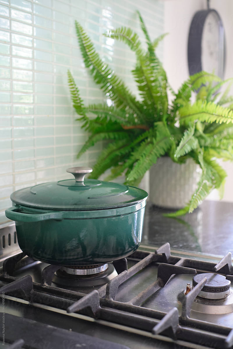 Iron casserole pot on range style cooktop