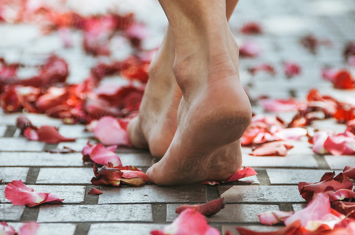 Woman walking barefoot on red roses petals.