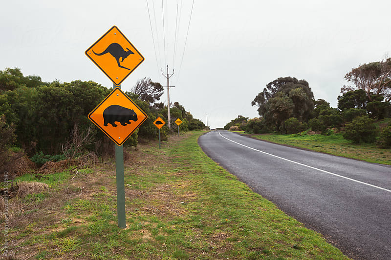 Australian roadsign with wombat and kangaroo warning