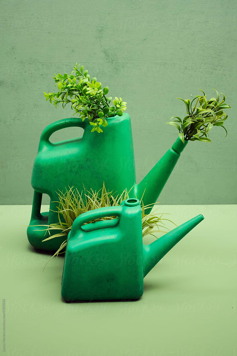 Watering cans with plants