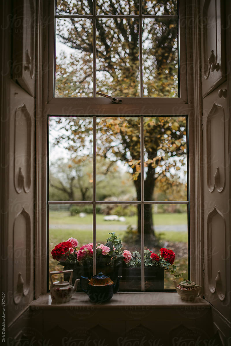 Autumn garden behind manor window