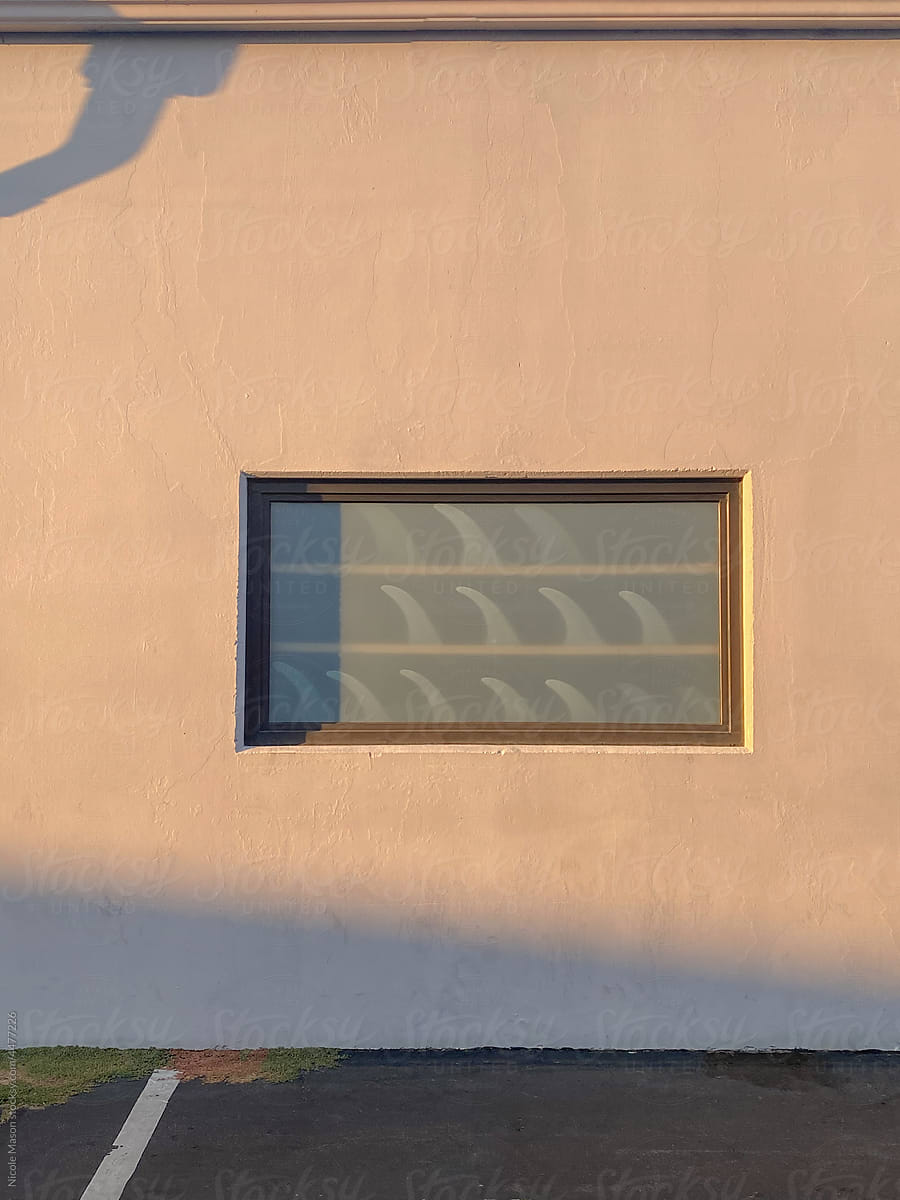 window with surf fins on shelves