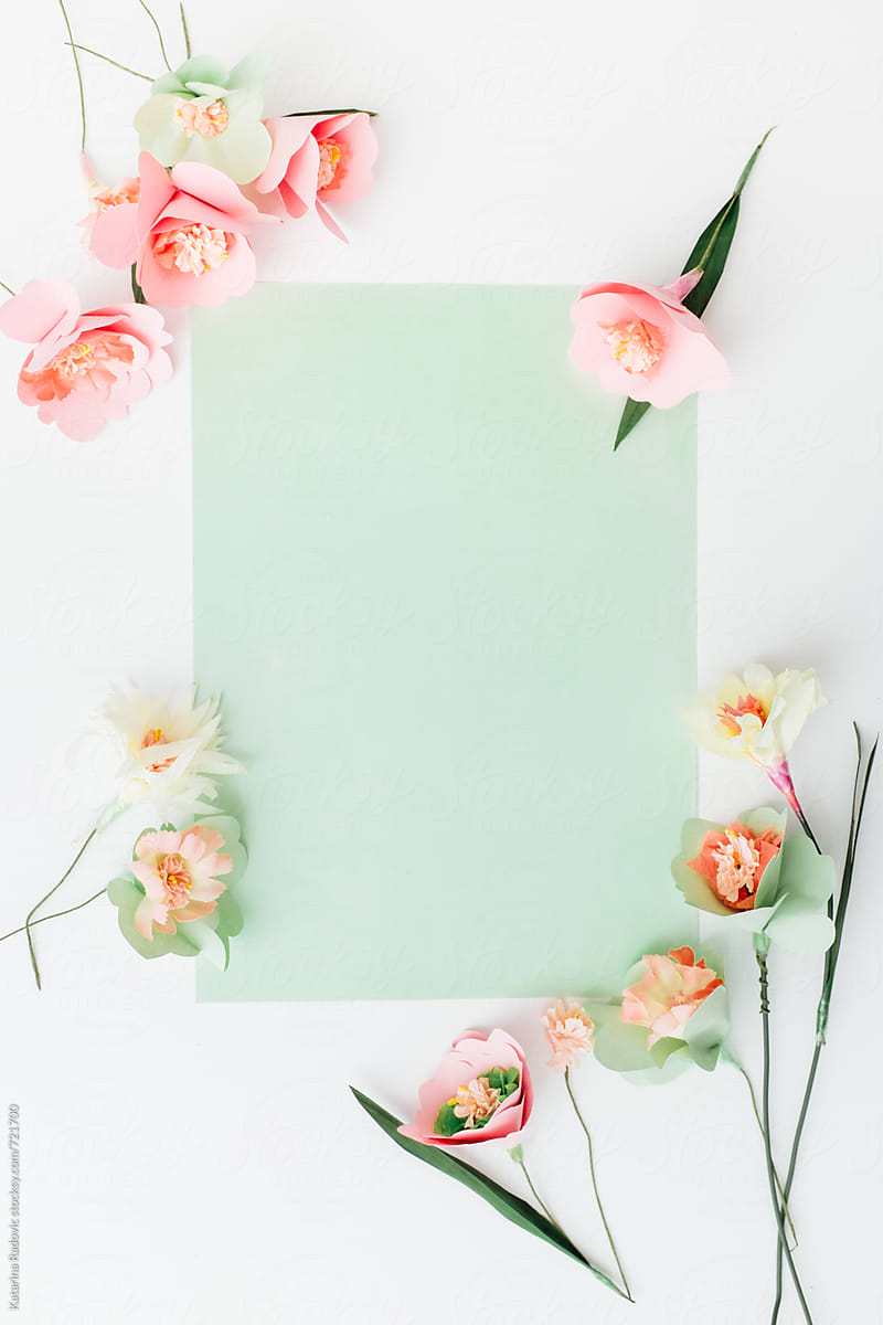 Paper Flowers Arranged With A Green Pastel Background | Stocksy United