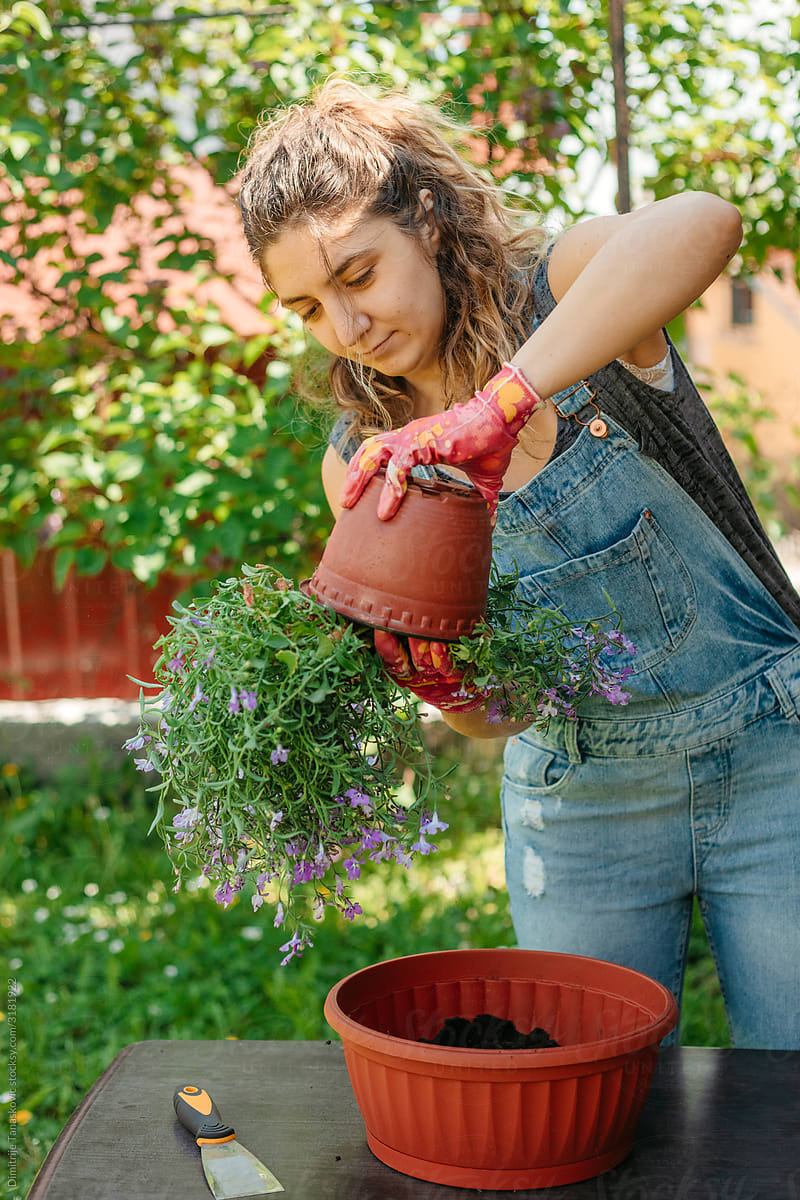 Woman Getting Plants From Small Pot.