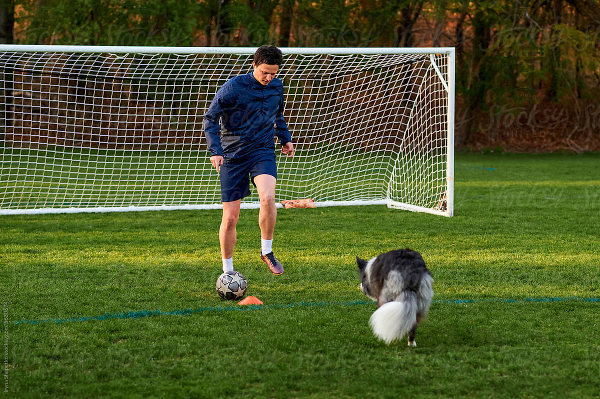 Soccer training man with dog alone on the field