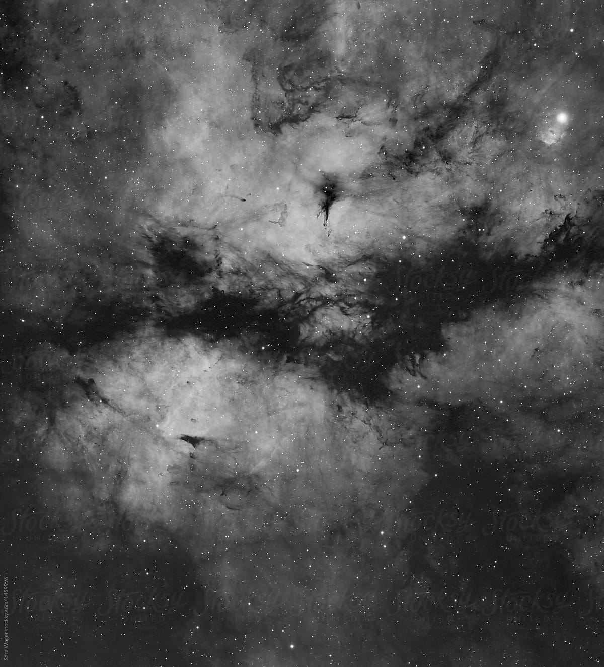 IC1318 the Butterfly nebula in mono
