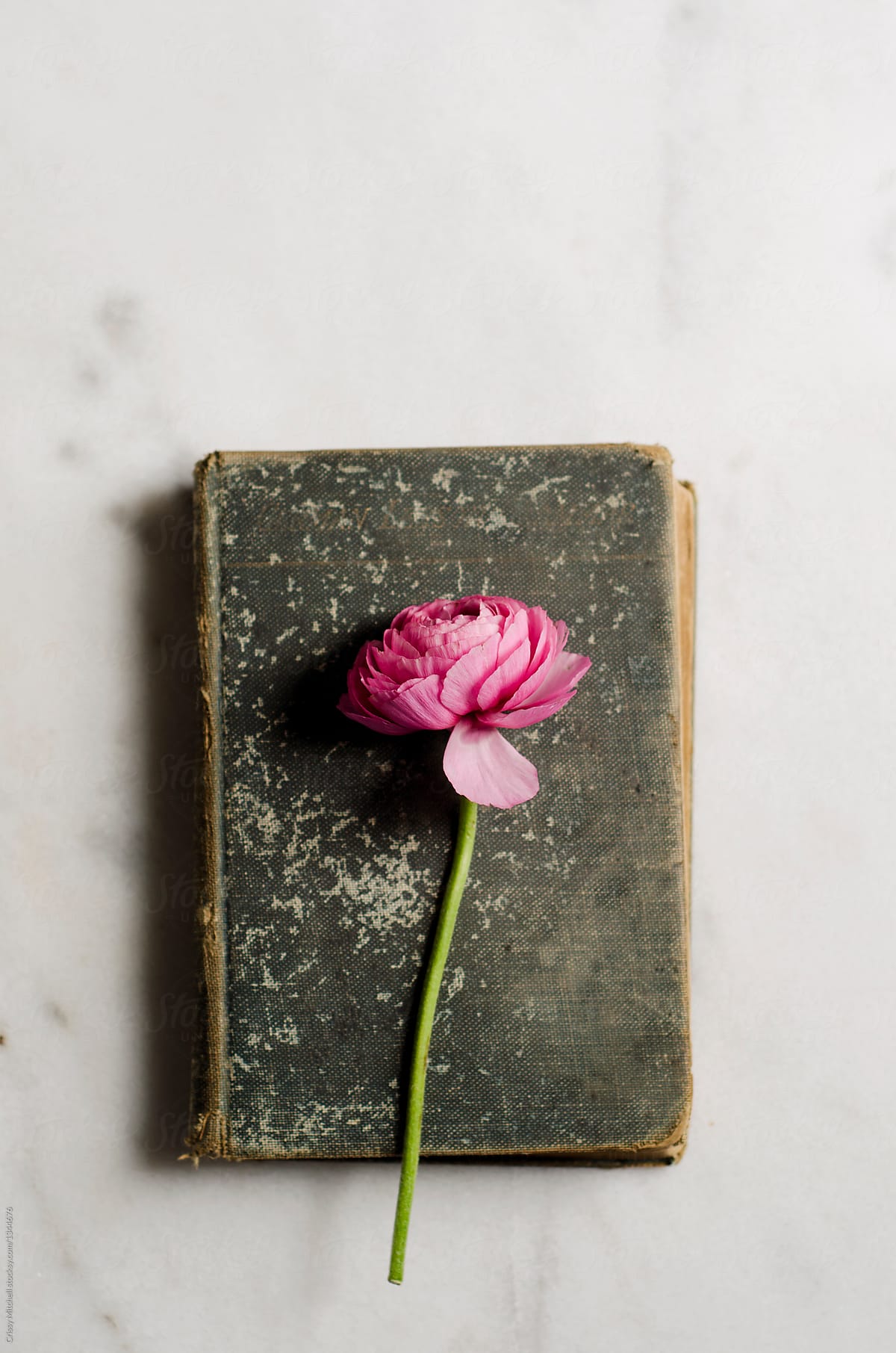 A flower and a book