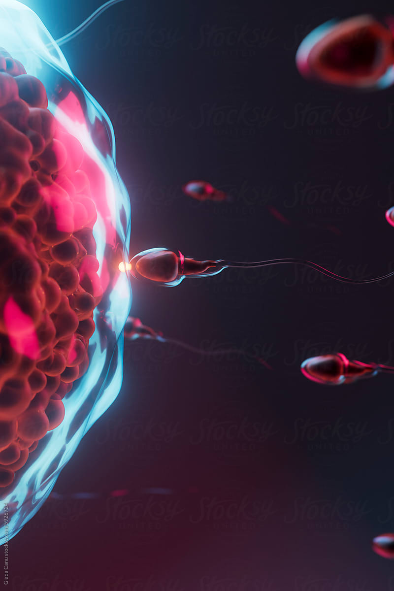 3D Render of Sperm Cells Encircling and Contacting Egg