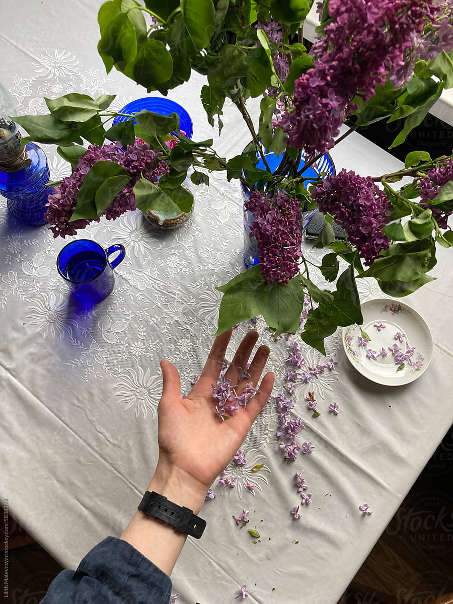A Woman's Hand Holds Fallen Lilac Flowers