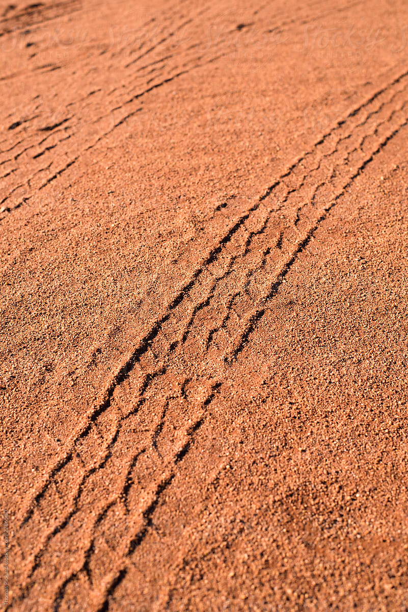 Tyre track, outback Australia.