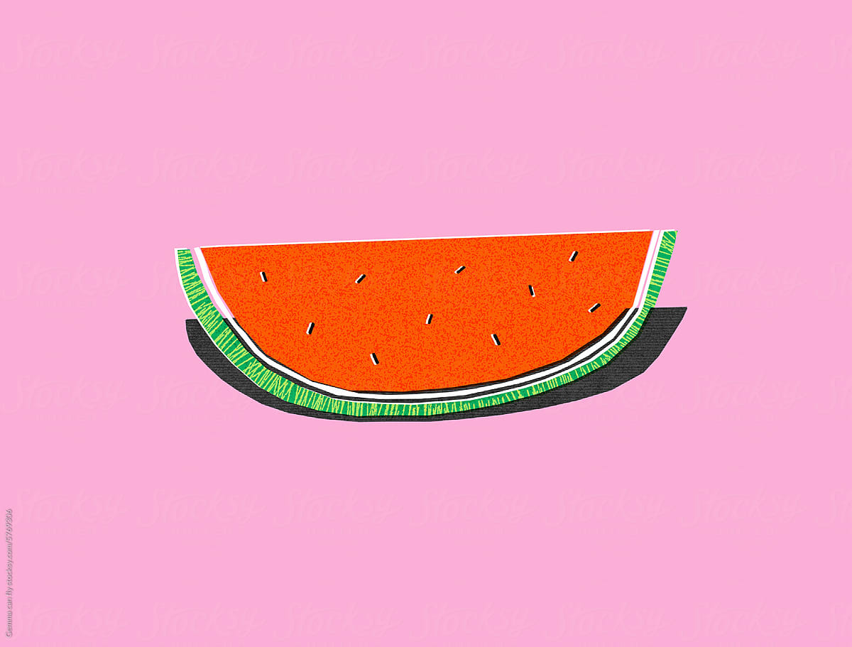 Watermelon minimal illustration