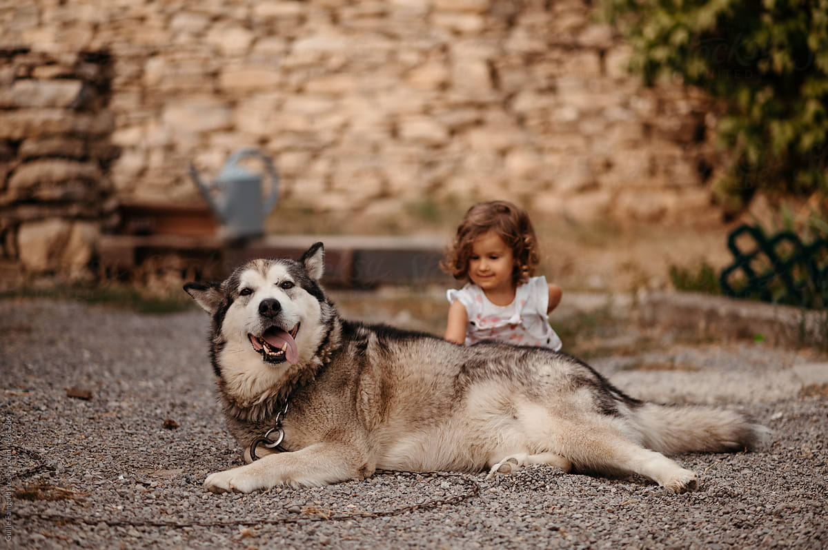 Girl and Husky dog on ground.