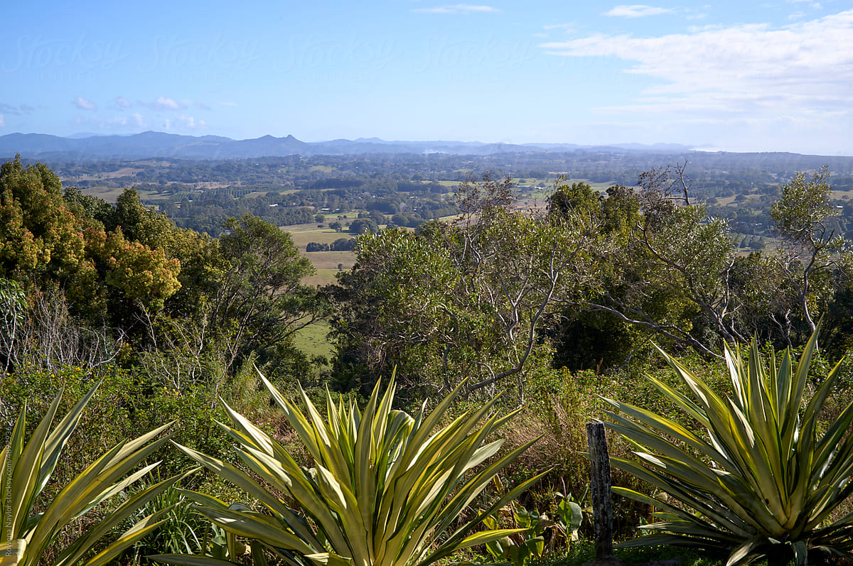 View of Hinterland from garden of luxury Byron Bay property