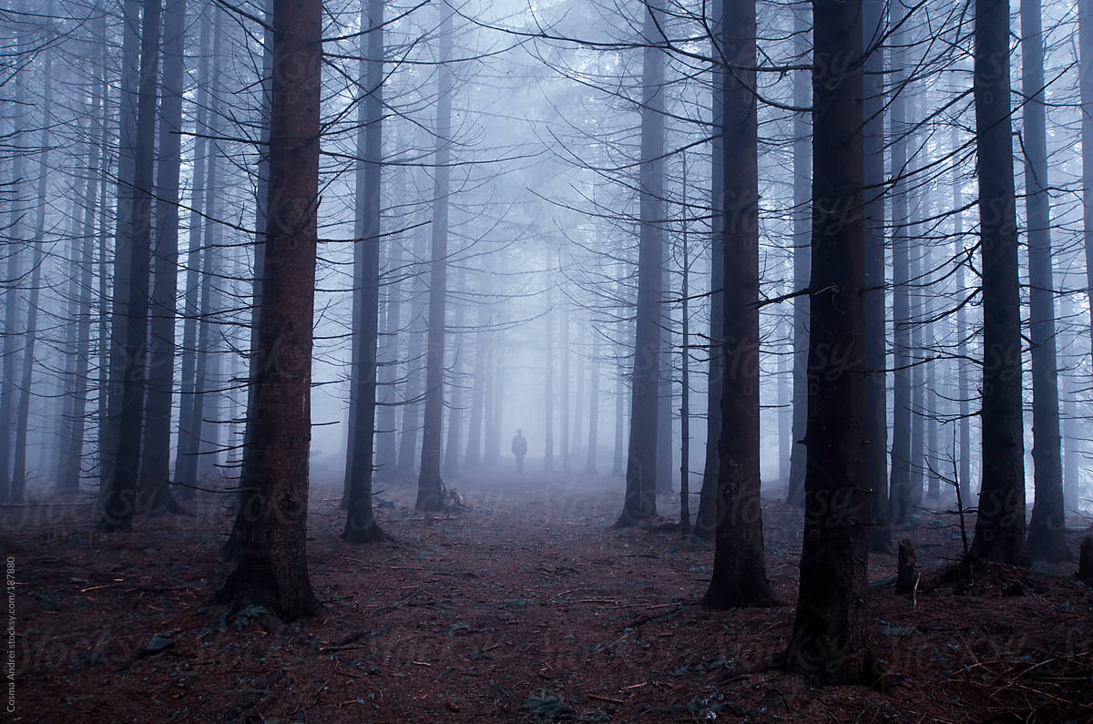 Man In Mysterious Forest With Fog By Cosma Andrei Stocksy United