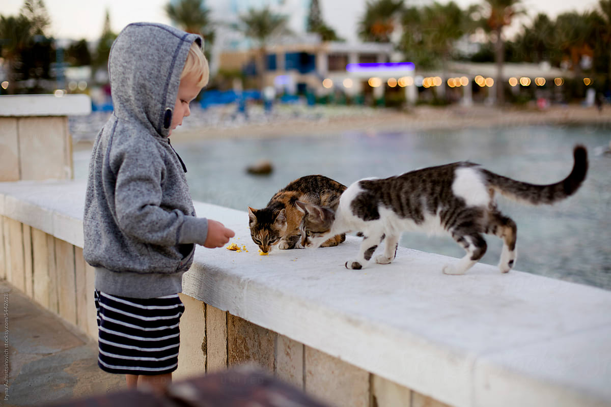 BOY AND CATS