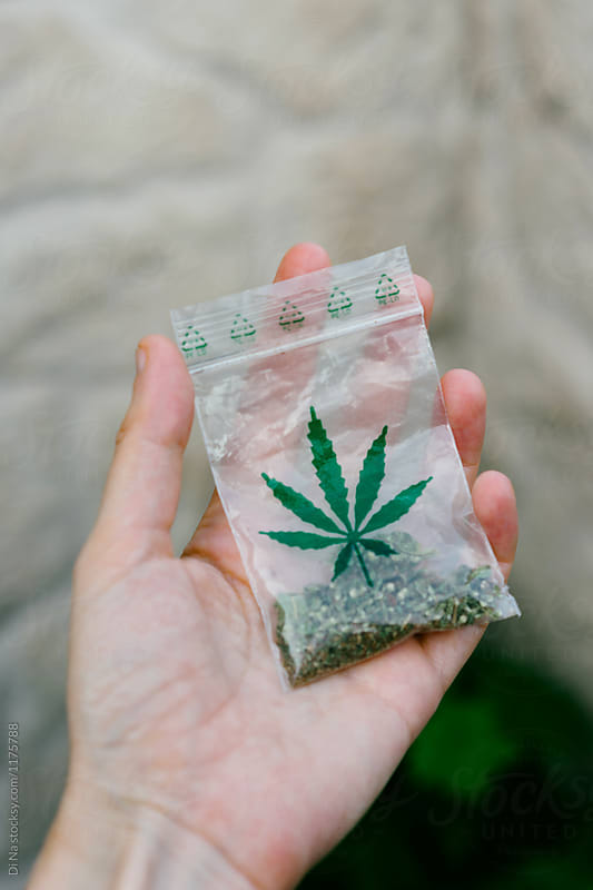 A pack of weed in a hand