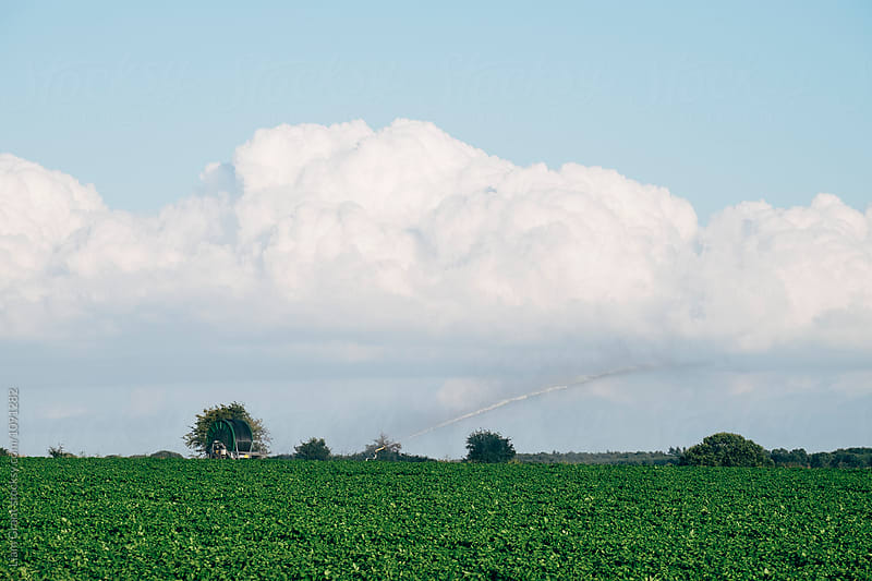 Irrigation system watering a field. Norfolk, UK.