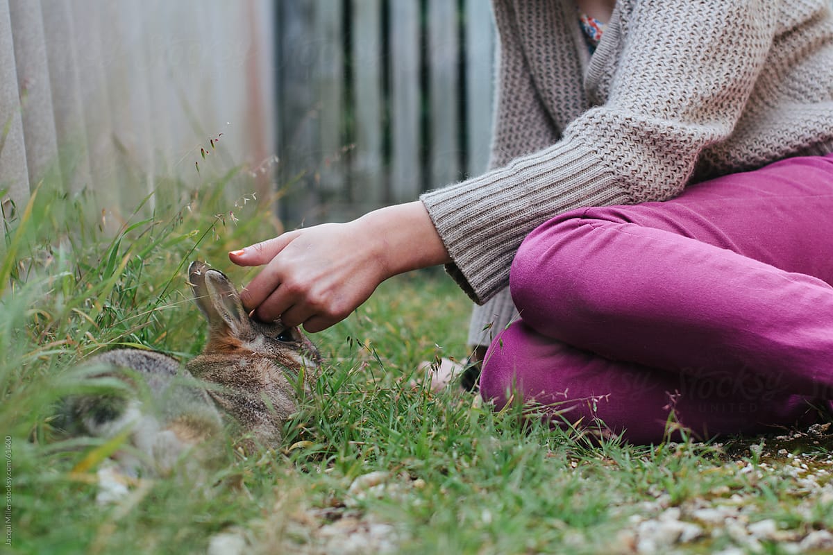Young girl patting a brown pet rabbit