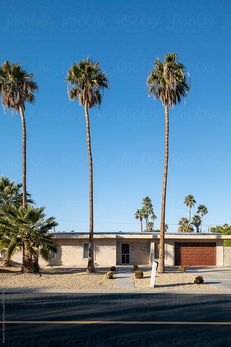 Mid Century Modern home in Palm Spring with three tall Palms
