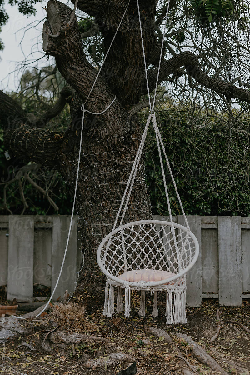 Boho Macrame Chair Hanging In A Tree By Sidney Morgan Macrame