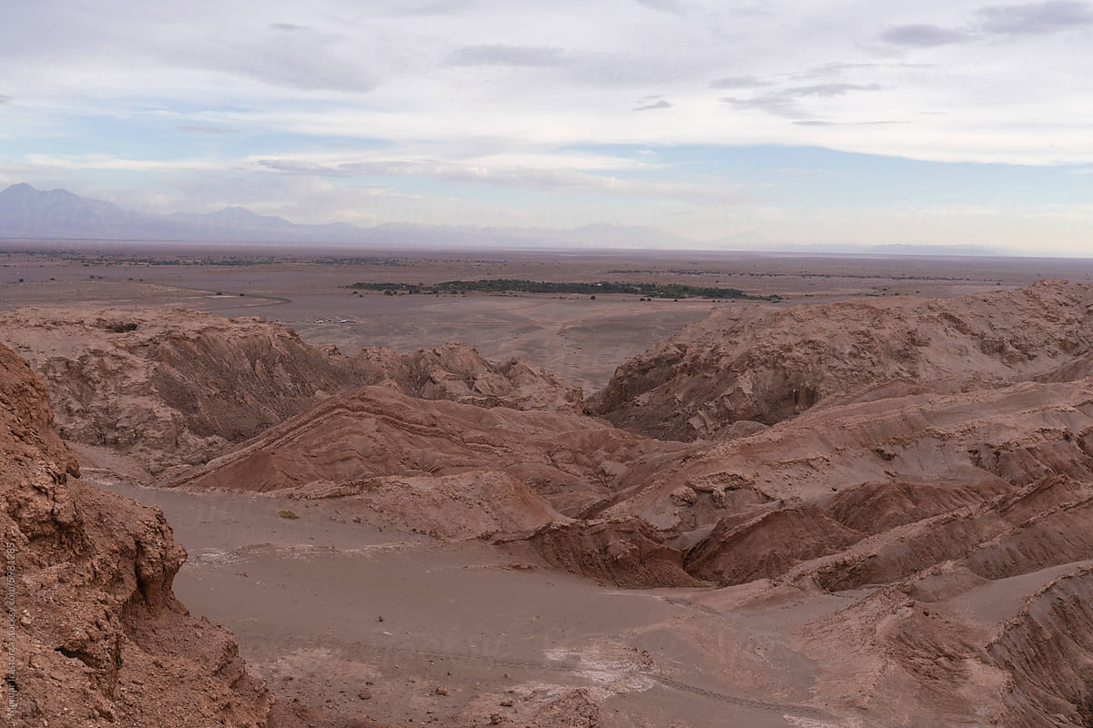 Valley And Oasis In Atacama Desert
