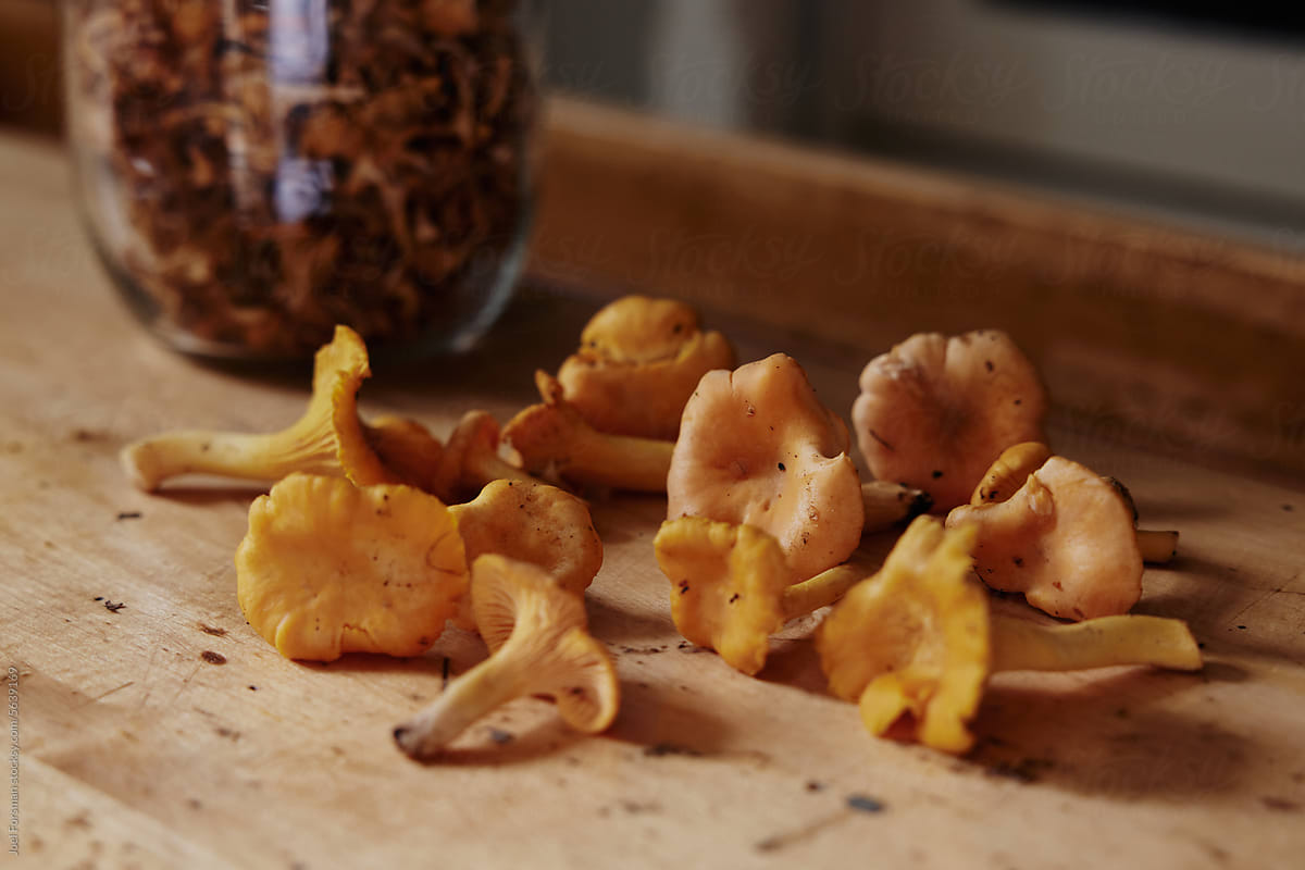 chanterelle on a rustic table with dried mushrooms in the background