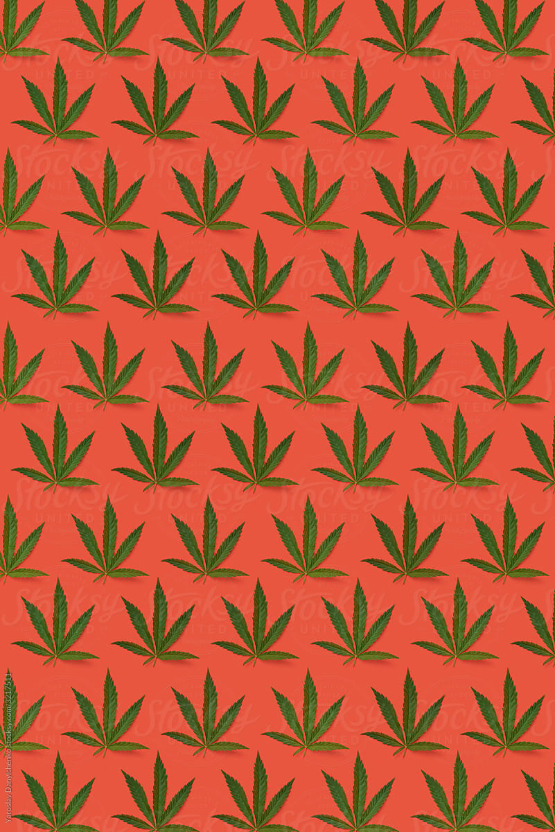 Natural cannabis plant pattern.