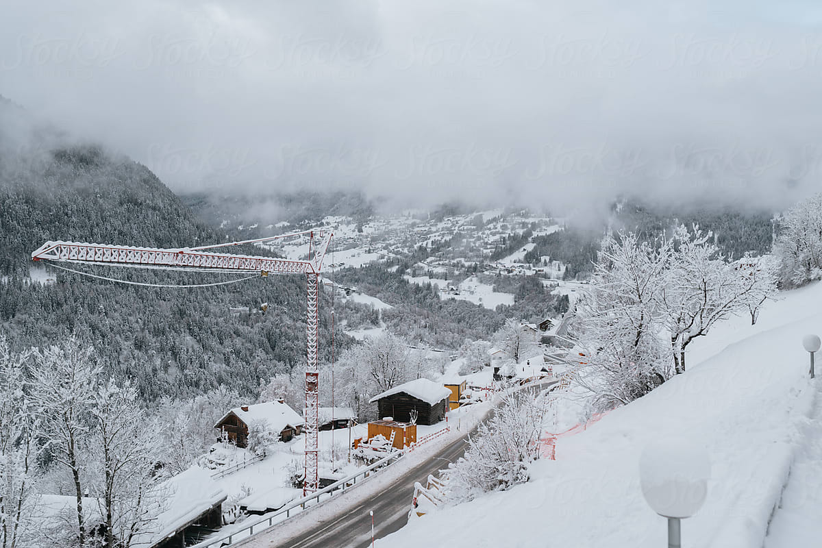Snowy Landscape and Crane