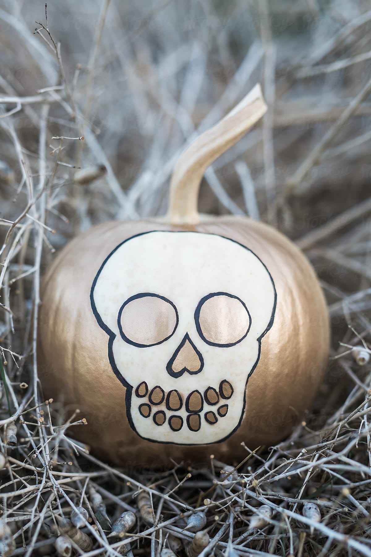 White pumpkin painted with a skull shape in gold and black paint