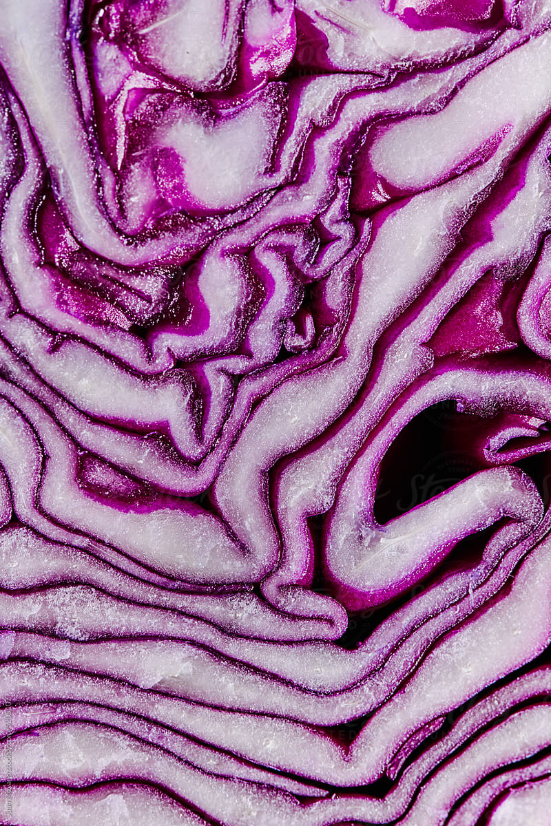 piece of red cabbage