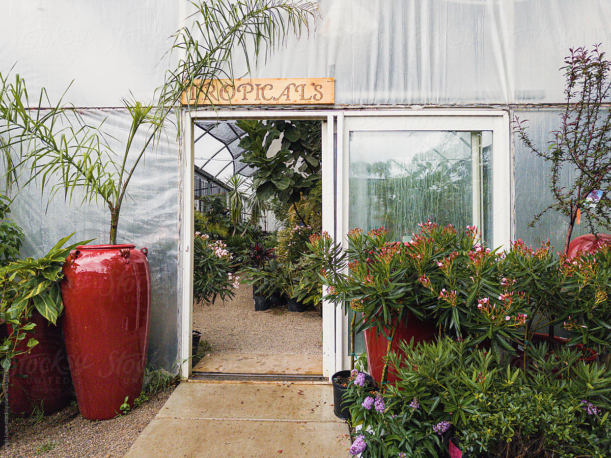 Looking Inside a Greenhouse Doorway with Potted Tropical Plants