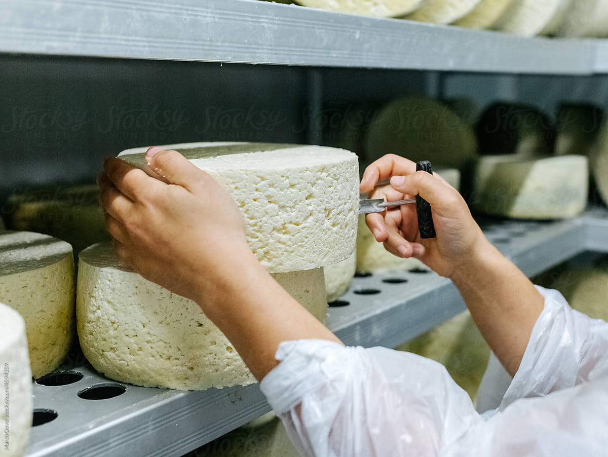 Artisan Cheese Factory