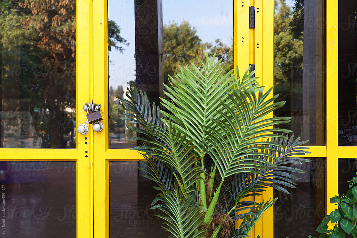 Locked Yellow Door With Plant.
