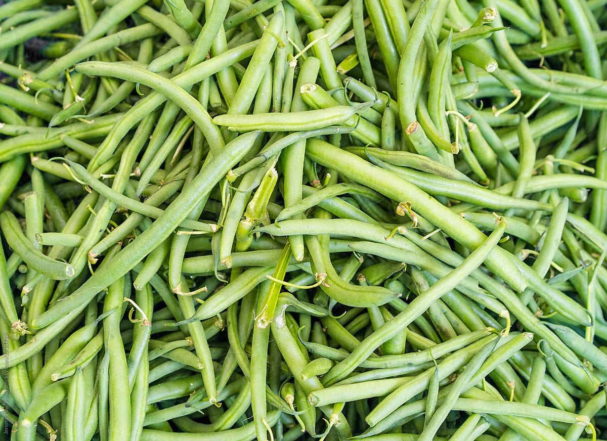 Fresh And Organic Green Beans