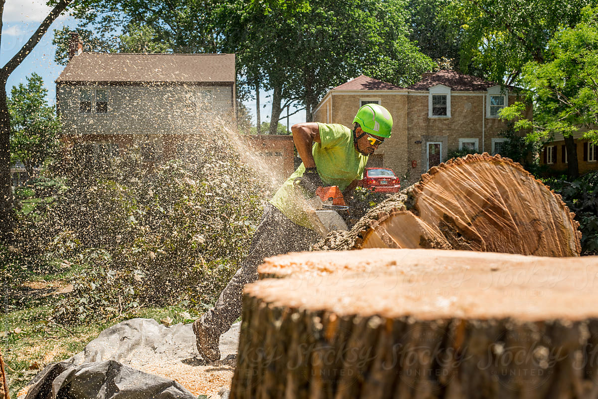 Tree removal worker cutting a log