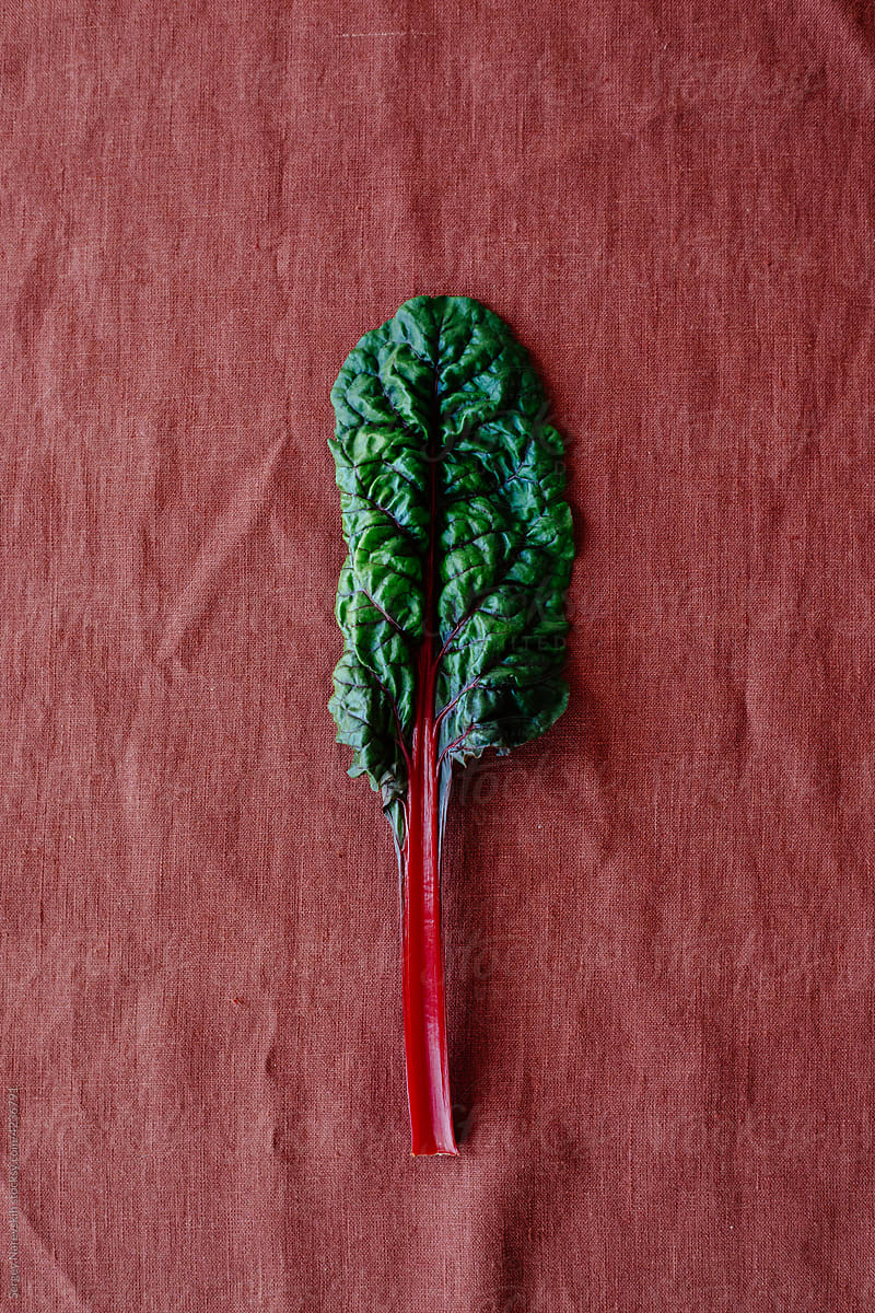 Red chard leaf on table
