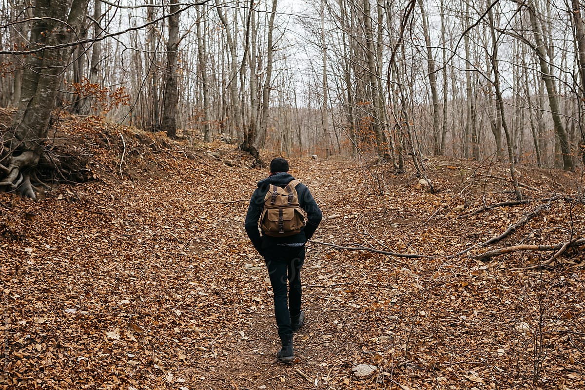 Man with backpack walking in autumnal woods