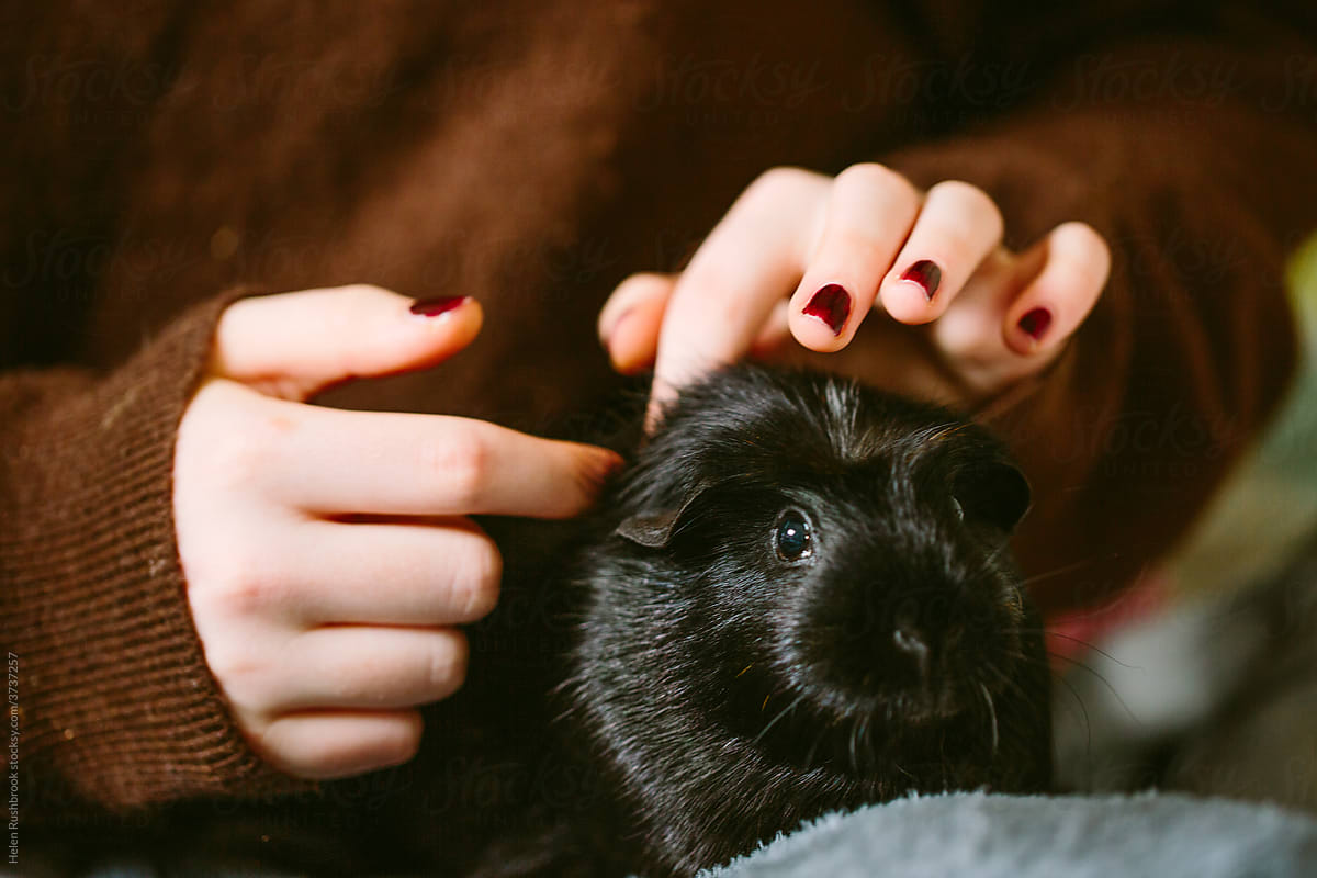 Teenage girl and pet guinea pigs