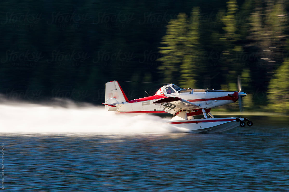 A forest fire fighting floatplane skimming on the surface of a lake to fill it\'s water tanks