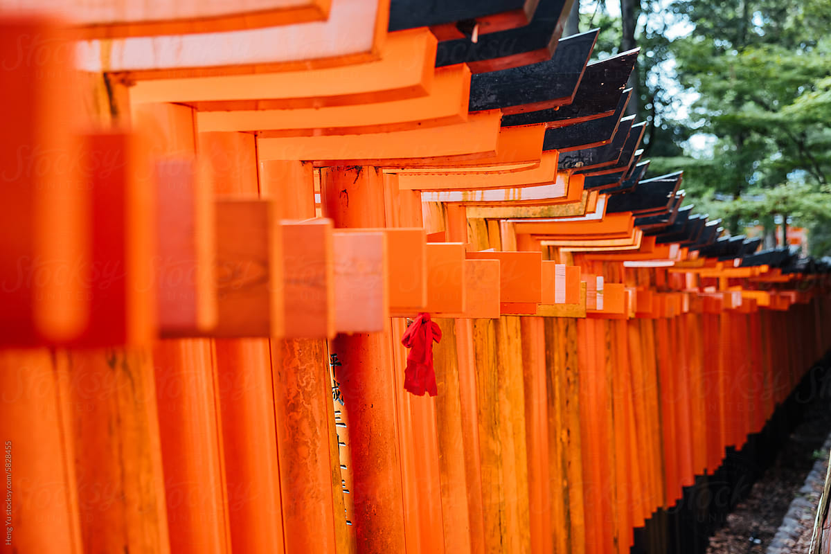 Solitary Red Ribbon on Fushimi Inari\'s Torii Path