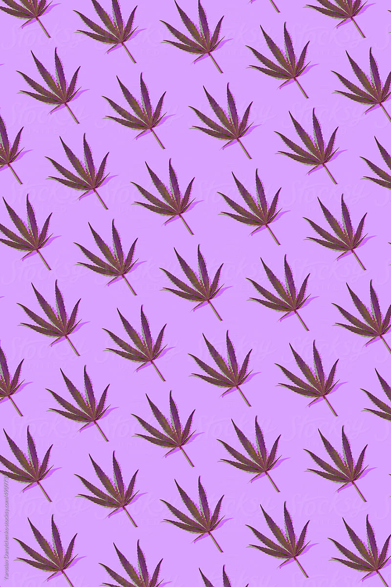 Natural cannabis pattern on pink background.