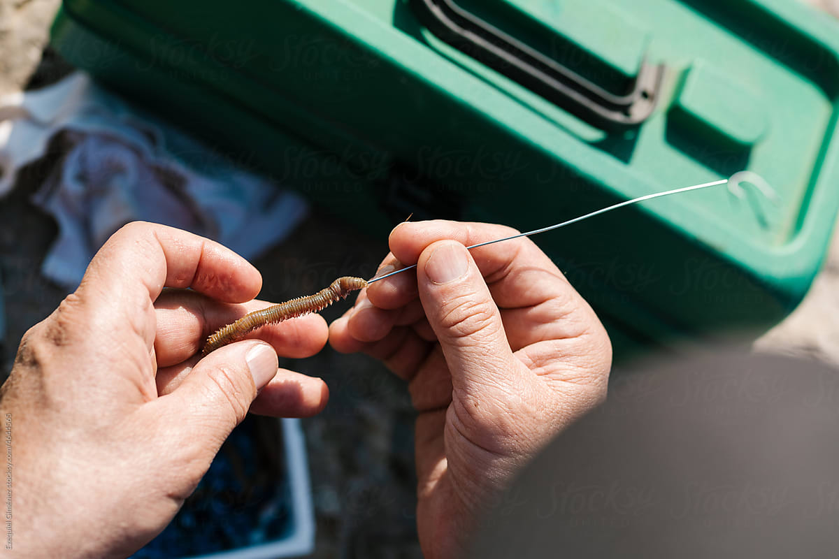 Crop fisherman stringing worm on hook before fishing