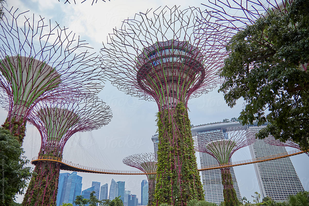 Singapore artificial tree tower structures, sky garden