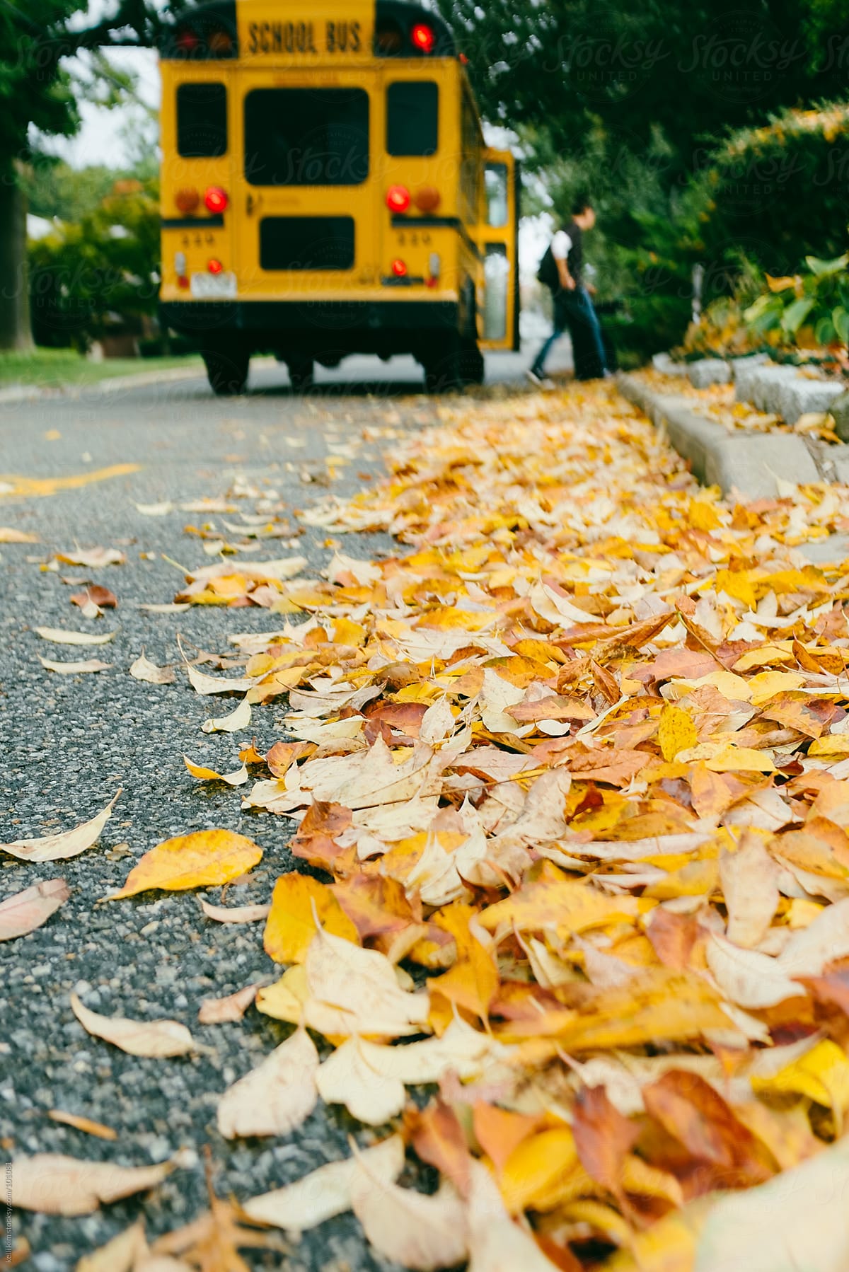 Male Student Exits School Bus On Autumn Leaf Covered Street