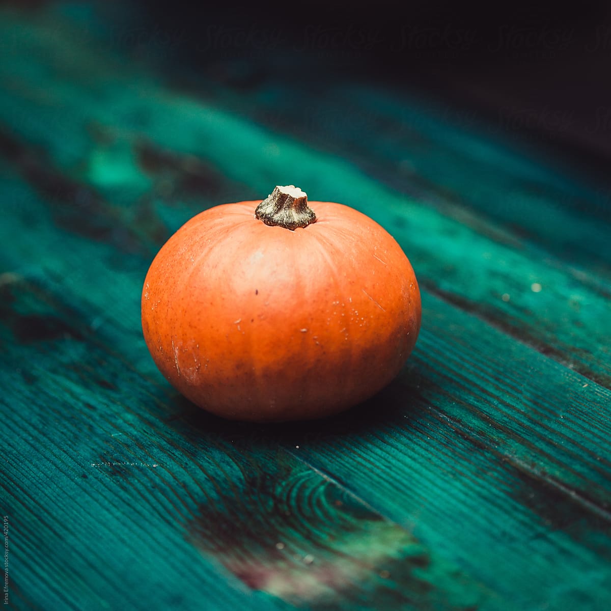 Small orange pumpkin on a dark turquoise table #2